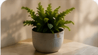 Calming landscape representing support for mood disorders
